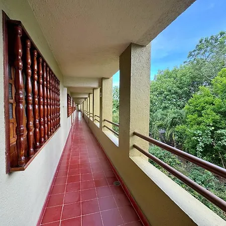 Hotel Casa Colonial Cozumel-Dog Friendly-2